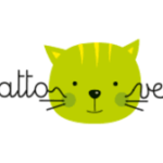 gatto verde